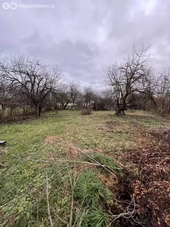 Участок в Бор, посёлок Неклюдово, Тихая улица, 2 (8 м) - Фото 1