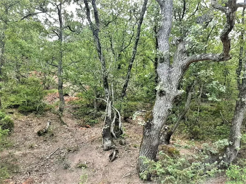 Участок в Крым, Ялта муниципальный округ, Массандра пгт ул. 16 Апреля ... - Фото 1