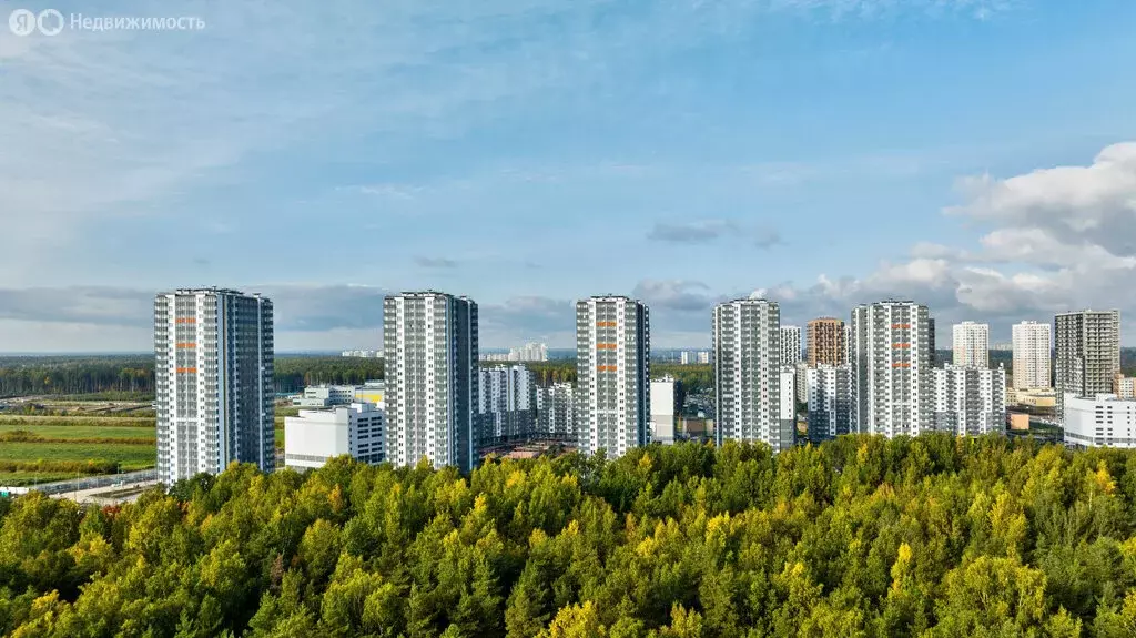 1-комнатная квартира: Санкт-Петербург, Орлово-Денисовский проспект, ... - Фото 1