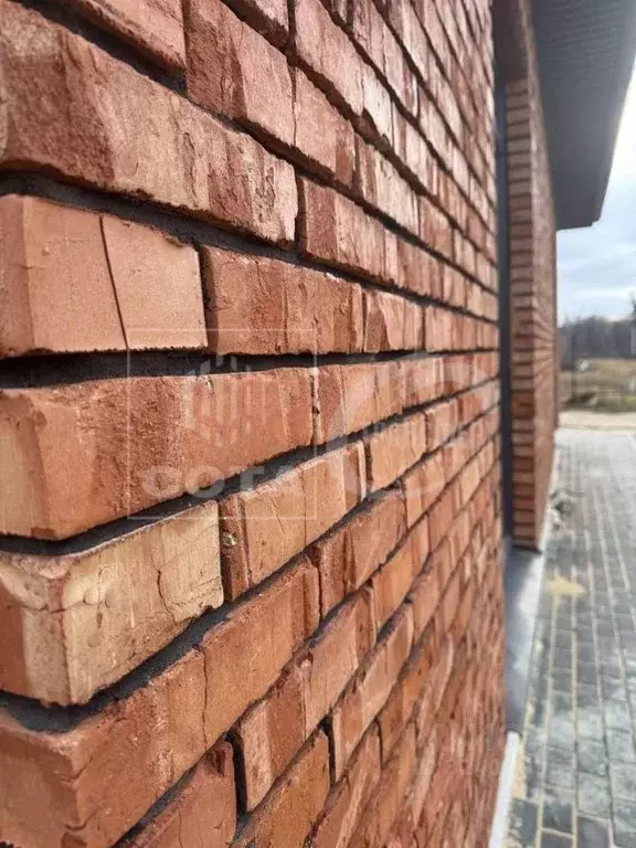 Дом в Воронежская область, Рамонский район, Новоживотинновское с/пос, ... - Фото 2