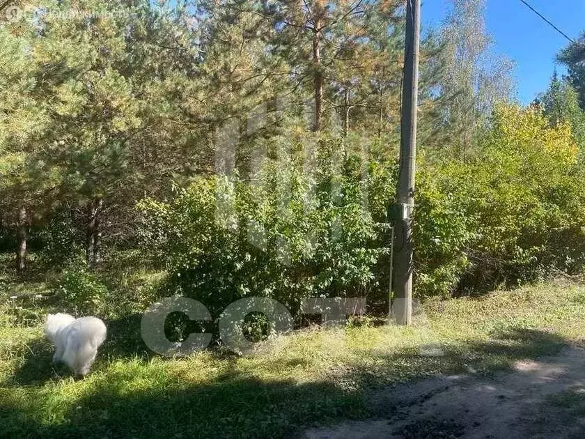 Участок в Рамонский район, Ступинское сельское поселение, СНТ Вита, ... - Фото 2