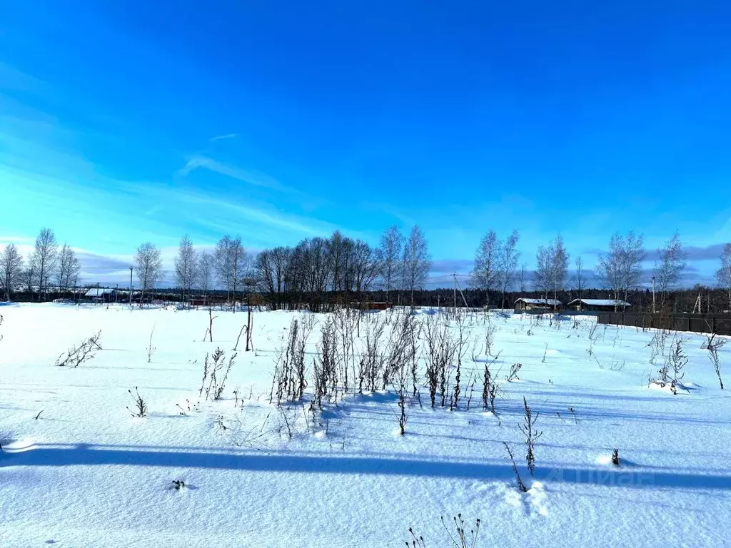Участок в Московская область, Истра муниципальный округ, д. Леоново ... - Фото 2