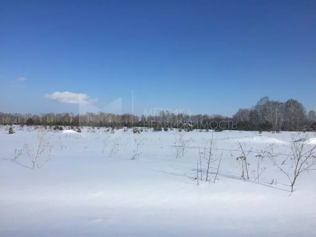 Участок в Тюменская область, Тюменский район, с. Кулига  (8.0 сот.) - Фото 1