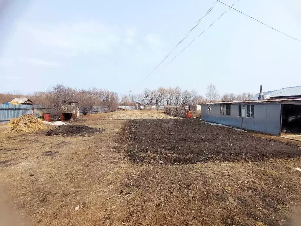 Участок в Амурская область, Благовещенск городской округ, с. Садовое ... - Фото 1
