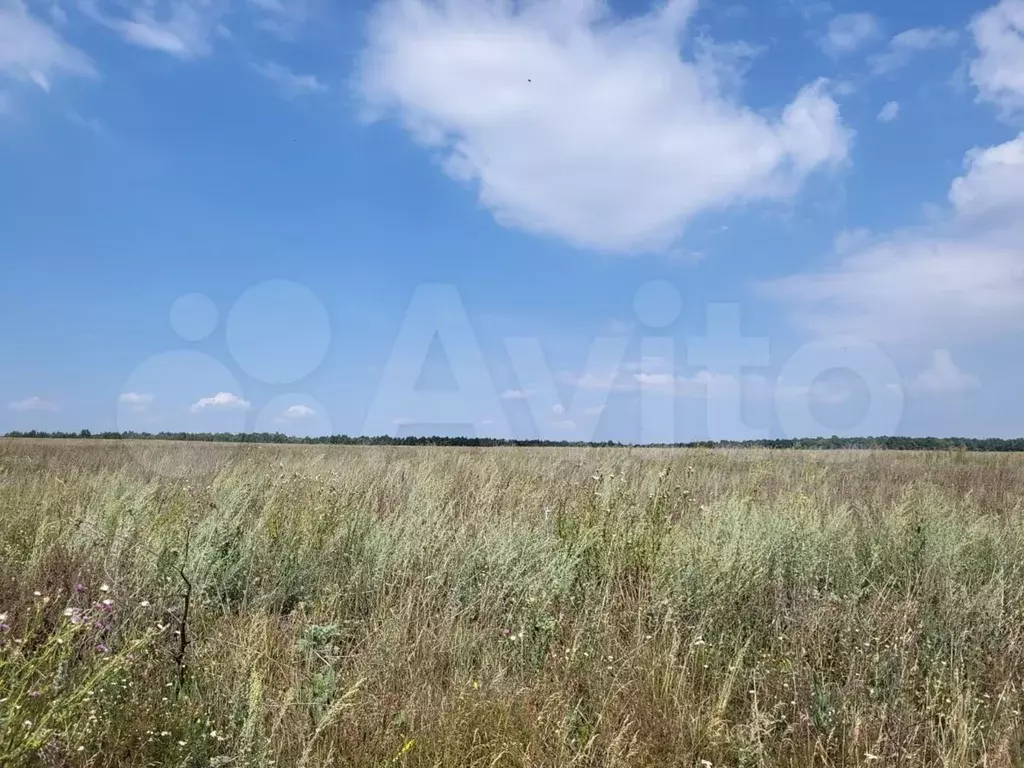 Купить Участок Ижс Лаишевский Район