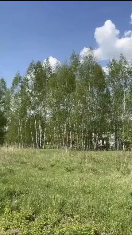 Участок в Московская область, Щелково городской округ, Монино пгт ул. ... - Фото 1