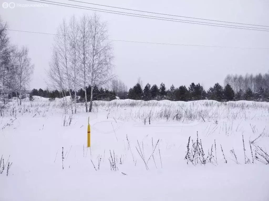 Участок в Тюменская область, Нижнетавдинский муниципальный округ, ... - Фото 2