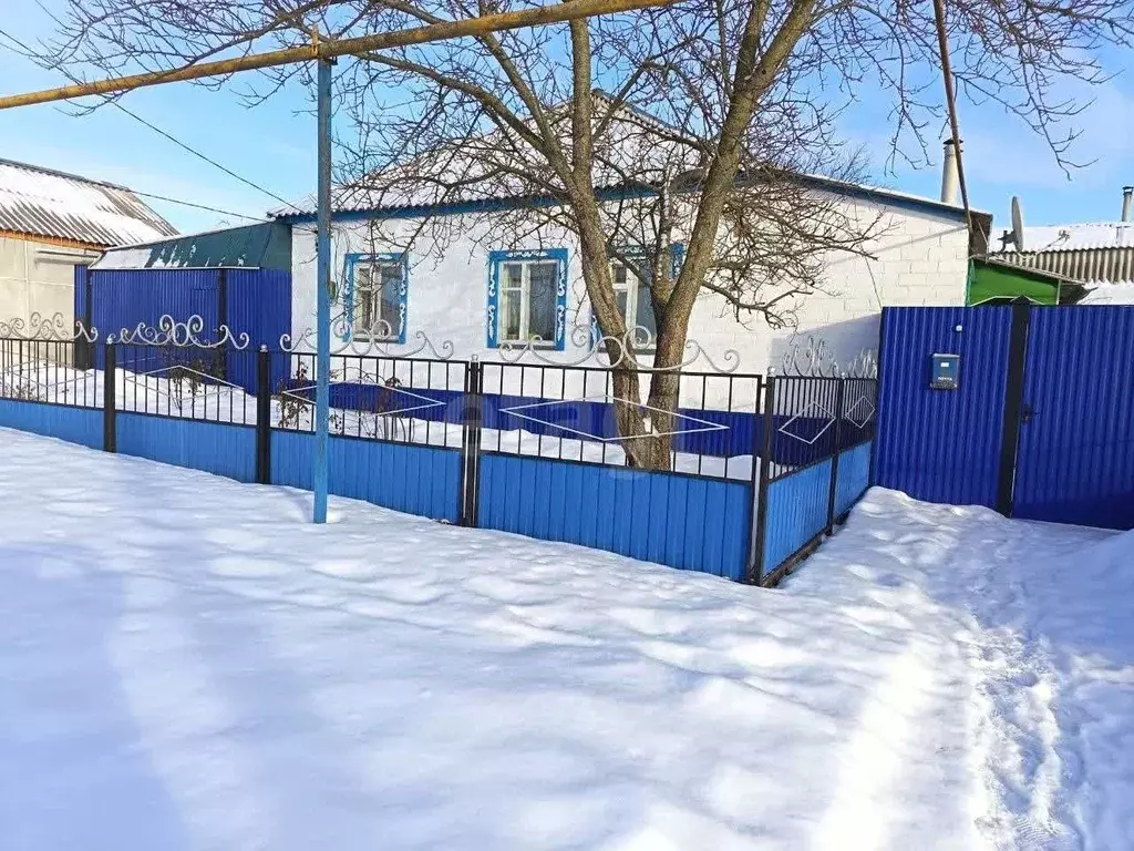 Дом в Белгородская область, Красногвардейский район, Ливенское с/пос, ... - Фото 1