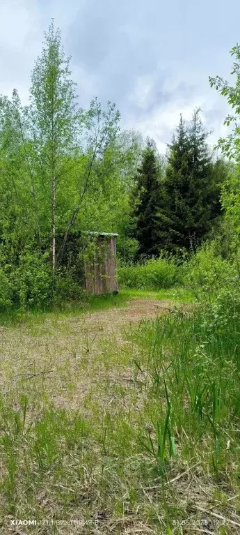 Участок в Ленинградская область, Выборгский район, Полянское с/пос, ... - Фото 0