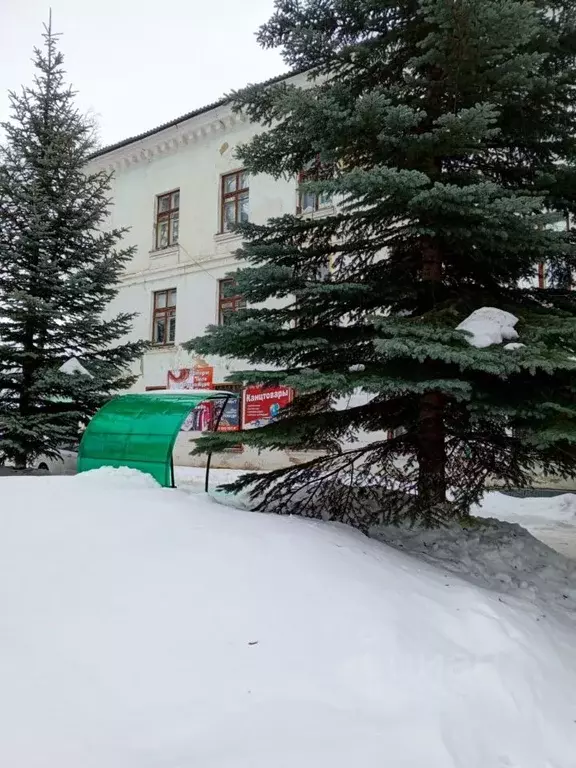 Помещение свободного назначения в Тульская область, Липки Киреевский ... - Фото 1