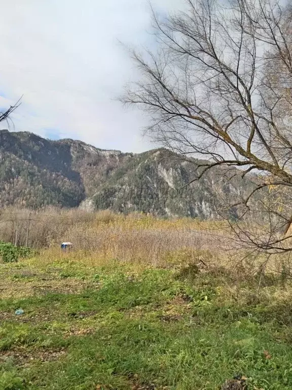 Участок в Алтай, Майминский район Р-256 Чуйский тракт, 488-й км (10.0 ... - Фото 2