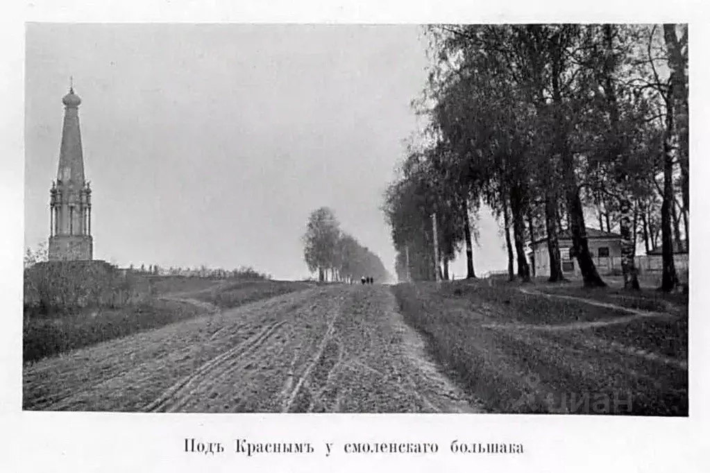 Участок в Алтайский край, Смоленский район, пос. Красный Городок ... - Фото 2