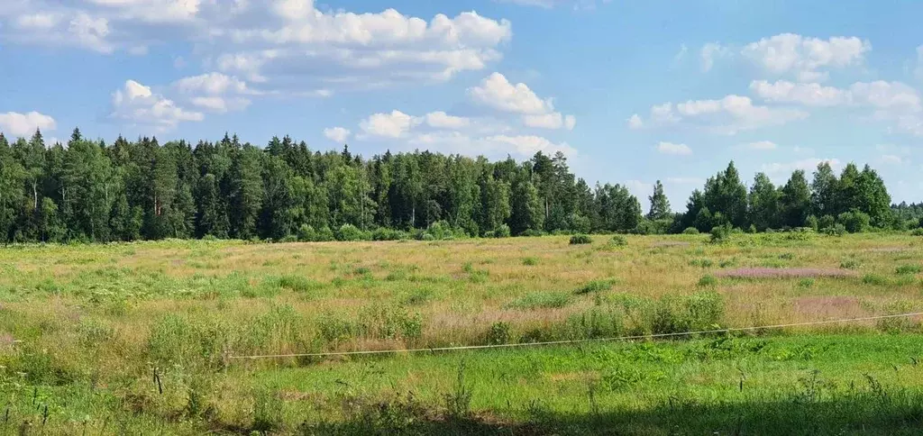 Участок в Московская область, Щелково городской округ, Лесной кв-л ... - Фото 1