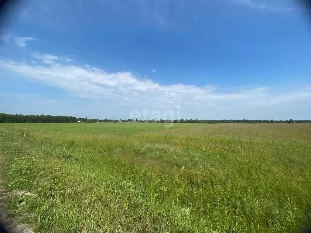 Участок в Ярославская область, Ярославский муниципальный округ, с. ... - Фото 1