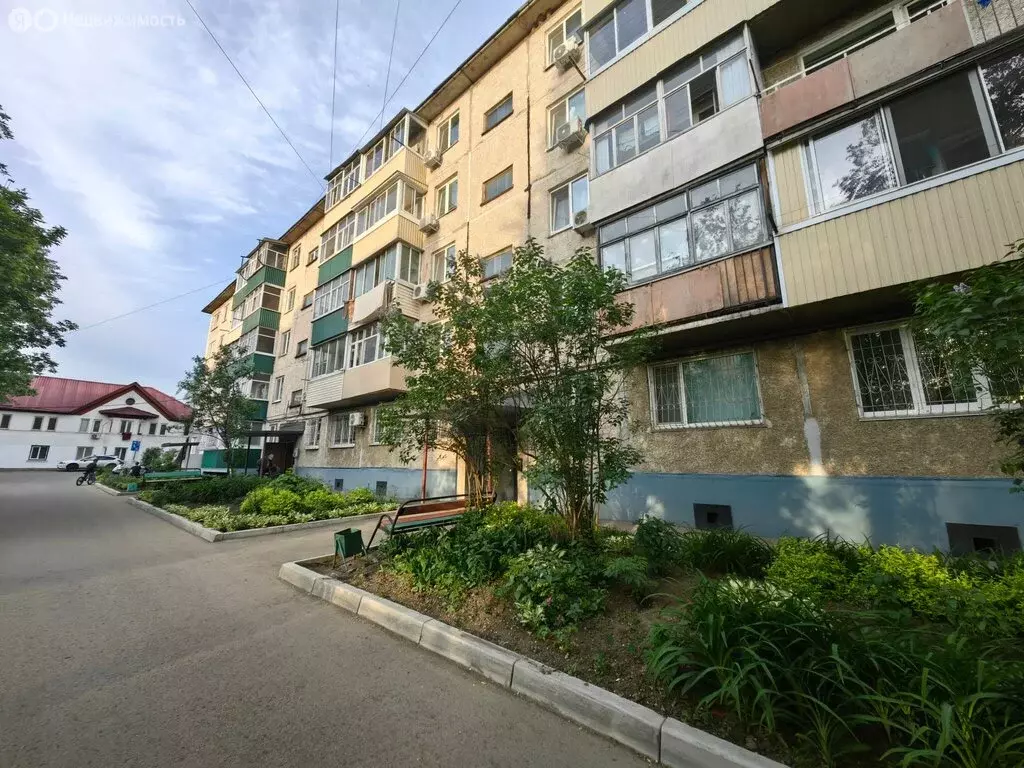 2-комнатная квартира: Арсеньев, улица Щербакова, 4 (48 м) - Фото 1