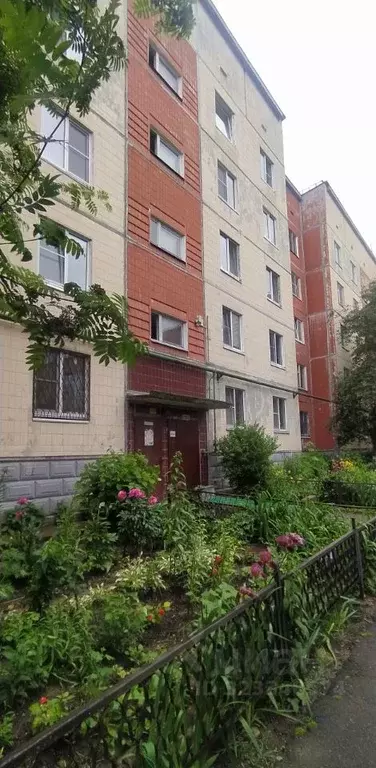 1-к кв. Ленинградская область, Гатчина ул. Изотова, 12к1 (37.7 м) - Фото 2