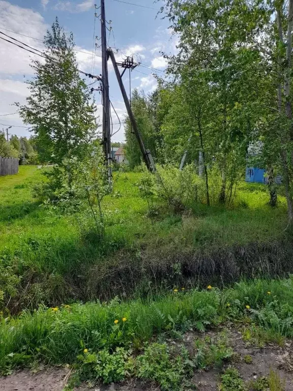 Участок в Тюменская область, Ялуторовск ул. Червинского, 120 (6.0 ... - Фото 0