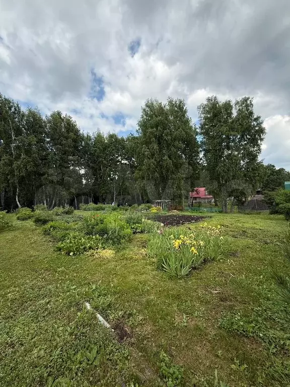 Участок 17 сот. (СНТ, ДНП) - Фото 0