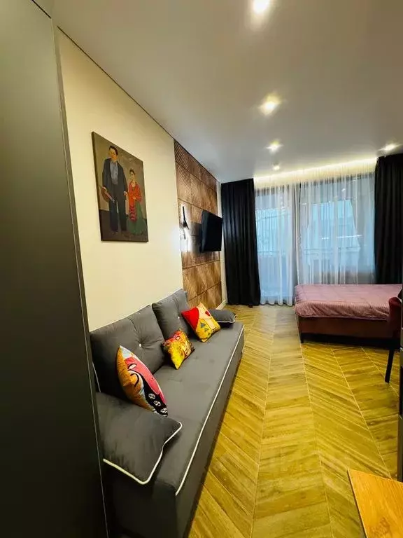 1-к кв. Краснодарский край, Сочи Виноградная ул., 219А (25.0 м) - Фото 1