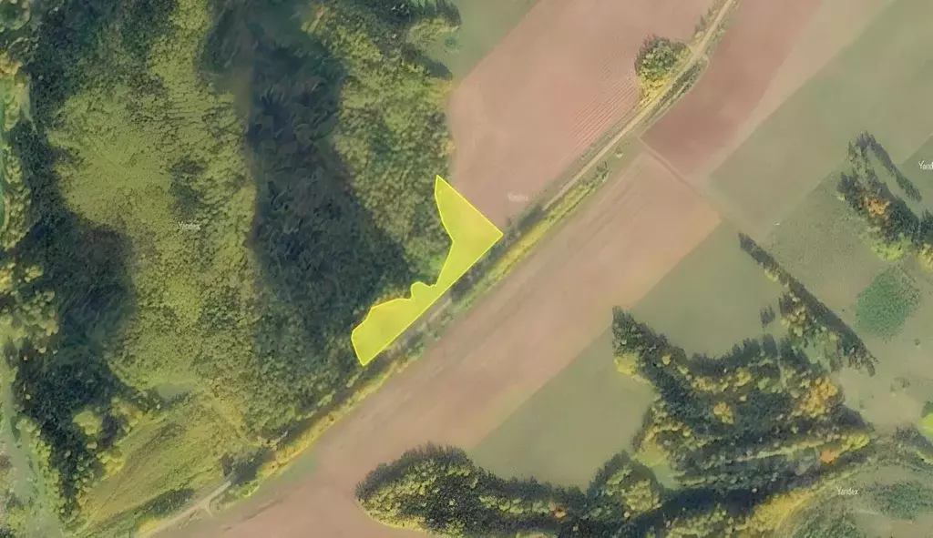 Участок в Пермский край, Ильинский муниципальный округ  (200.0 сот.) - Фото 1