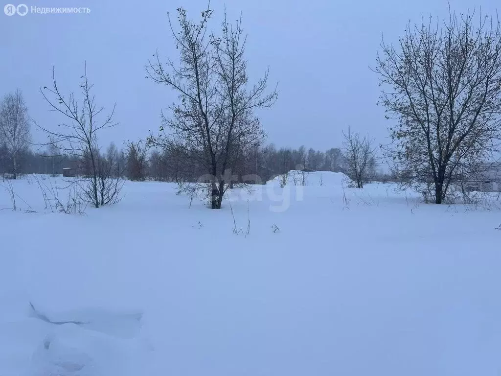 Участок в Бердск, микрорайон Раздольный (7.9 м) - Фото 2