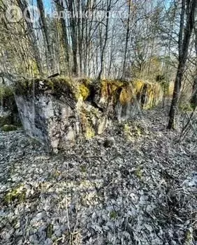 Участок в посёлок Возрождение, посёлок Петровка (12 м) - Фото 1