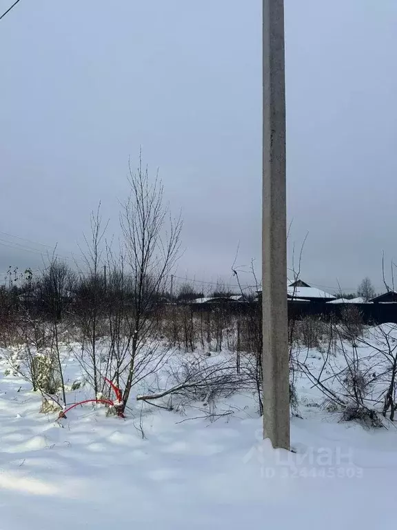 Участок в Псковская область, Псковский район, Логозовская волость, д. ... - Фото 2