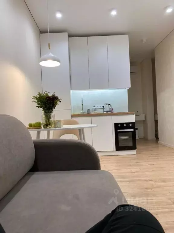 Студия Московская область, Красногорск городской округ, пос. ... - Фото 1