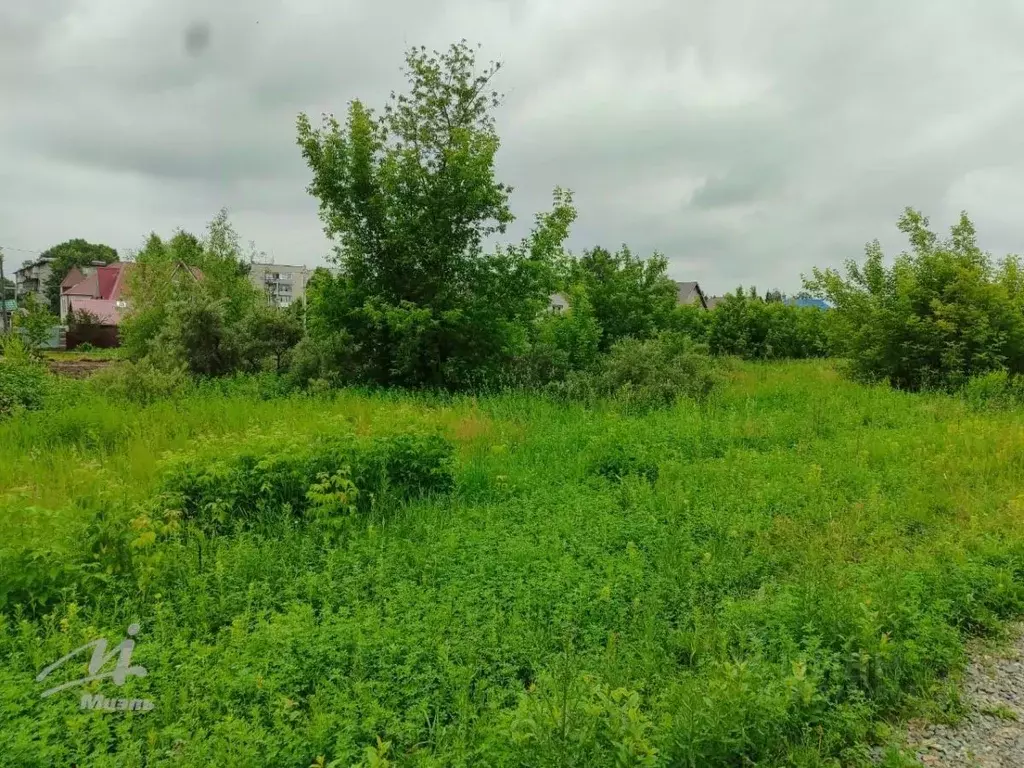 Участок в Алтайский край, Барнаул Новосиликатный мкр, проезд 2-й ... - Фото 1