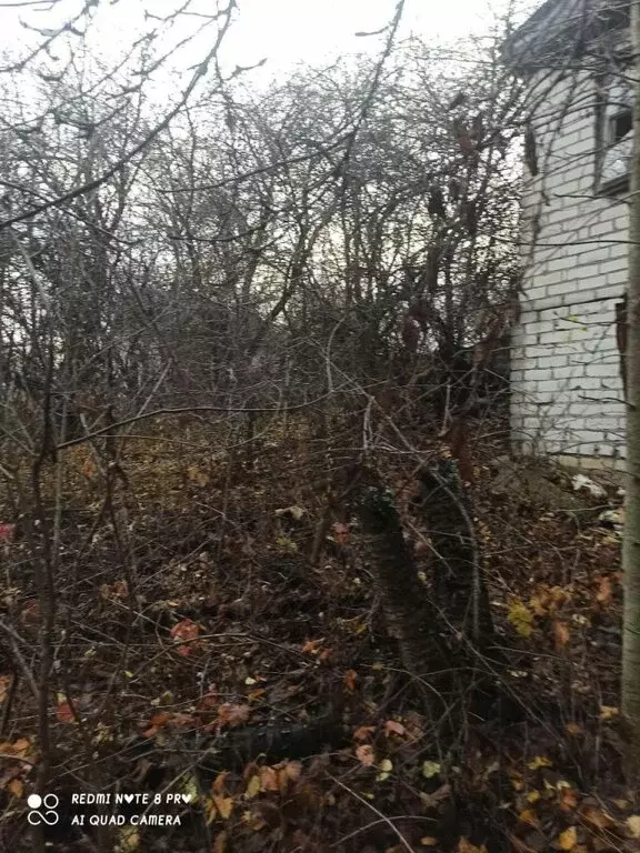 Участок в Белгородская область, Яковлевский муниципальный округ, село ... - Фото 0