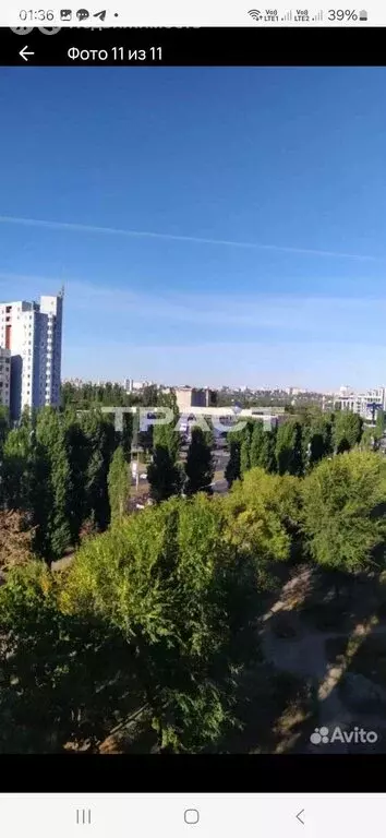 1-комнатная квартира: Воронеж, улица Остужева, 11 (34 м) - Фото 0