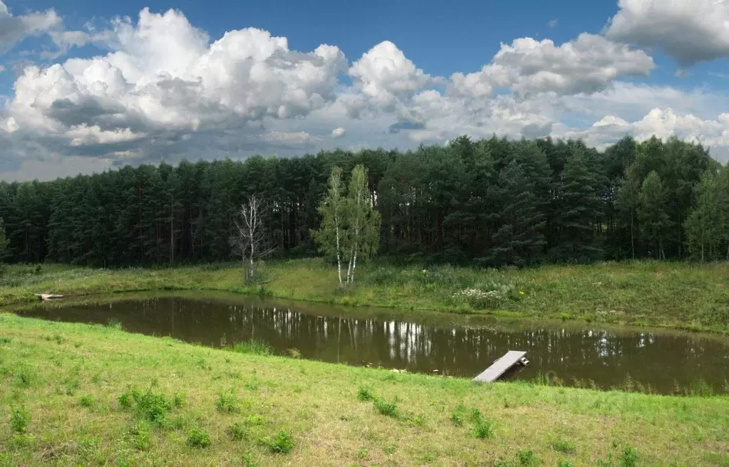 Участок в Тульская область, Ясногорский район, Иваньковское ... - Фото 0