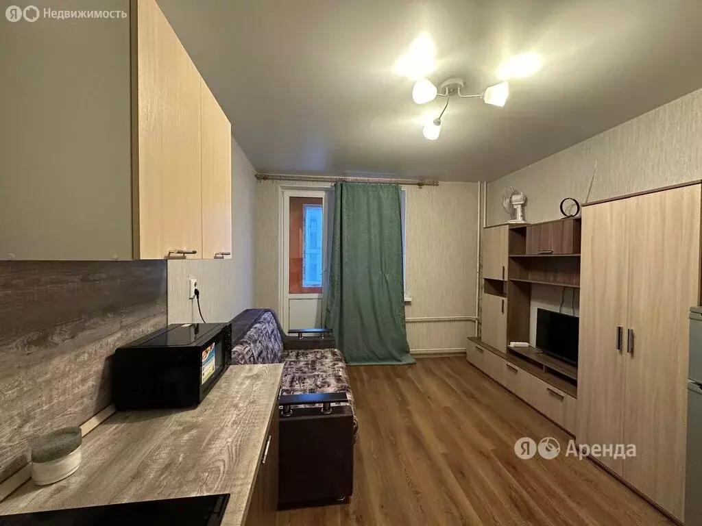 Квартира-студия: Мурино, Ручьёвский проспект, 2 (20 м) - Фото 1