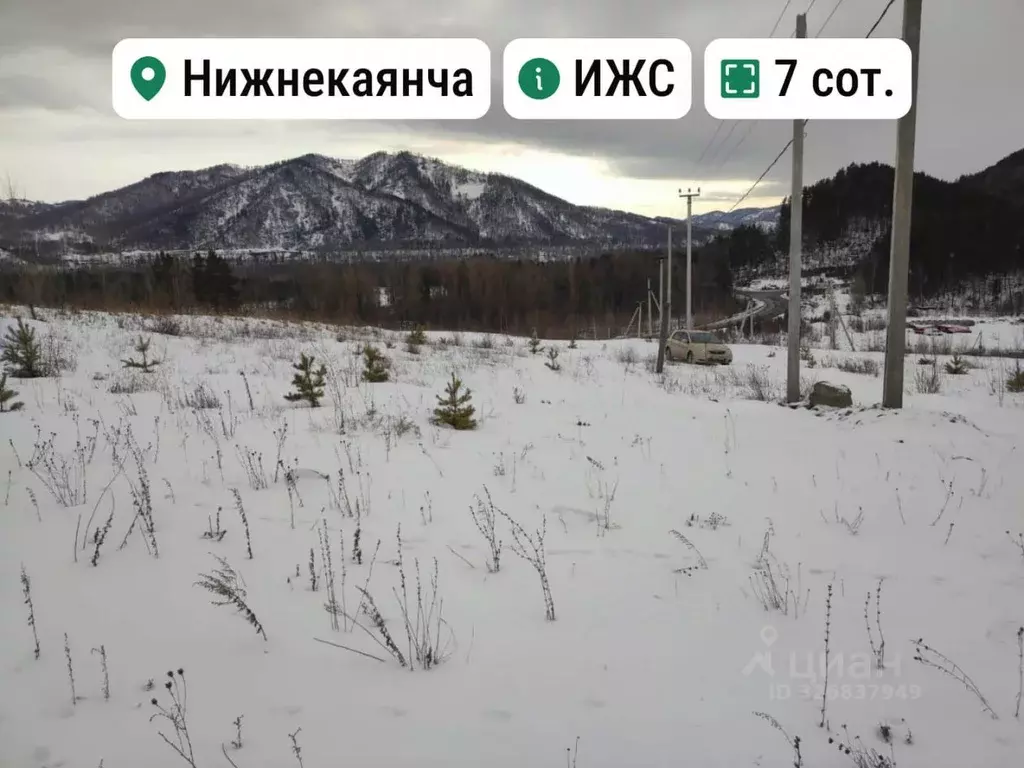 Участок в Алтайский край, Алтайский район, с. Нижнекаянча ул. ... - Фото 1