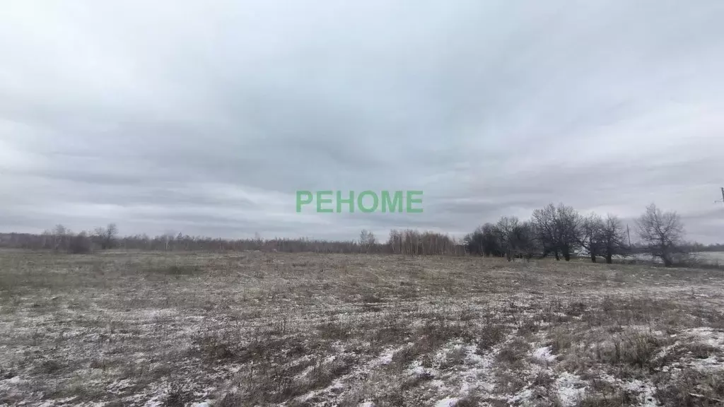 Участок в Саратовская область, Михайловский муниципальный округ, пос. ... - Фото 1