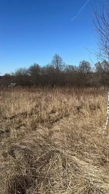 Участок в Московская область, Ступино городской округ, д. Шелково  ... - Фото 0