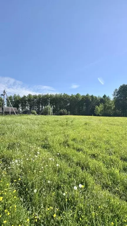 Участок в Смоленская область, д. Ново-Никольское  (20.0 сот.) - Фото 1
