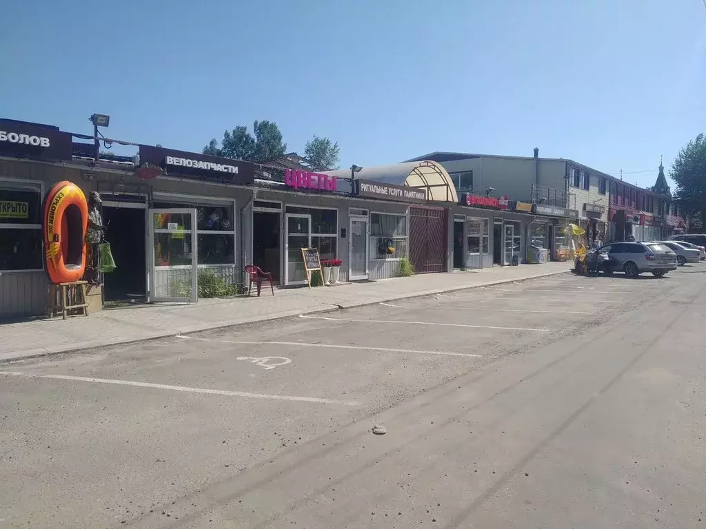 Торговая площадь в Московская область, Домодедово Востряково мкр, ул. ... - Фото 2