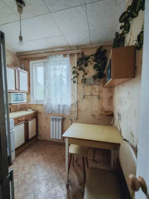 1-к. квартира, 30 м, 4/5 эт. - Фото 1