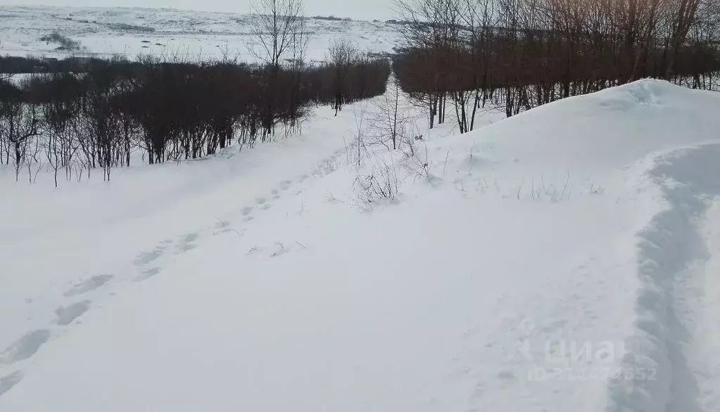 Участок в Ставропольский край, Ставрополь Северное-2 садовое ... - Фото 0