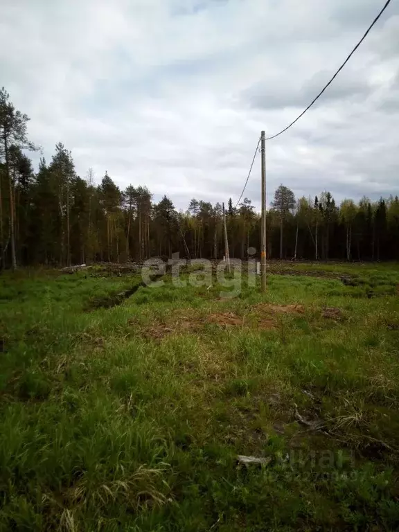 Участок в Коми, Корткеросский район, Додзь муниципальное образование, ... - Фото 1