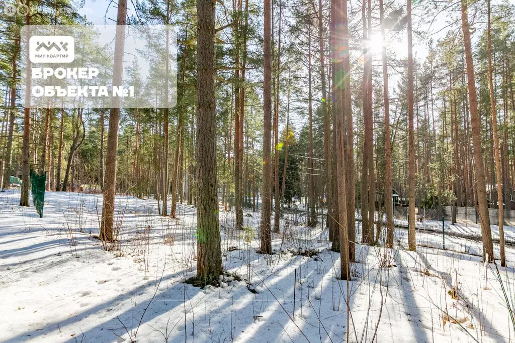 Участок в посёлок Солнечное, 1-я Боровая улица (24 м) - Фото 1