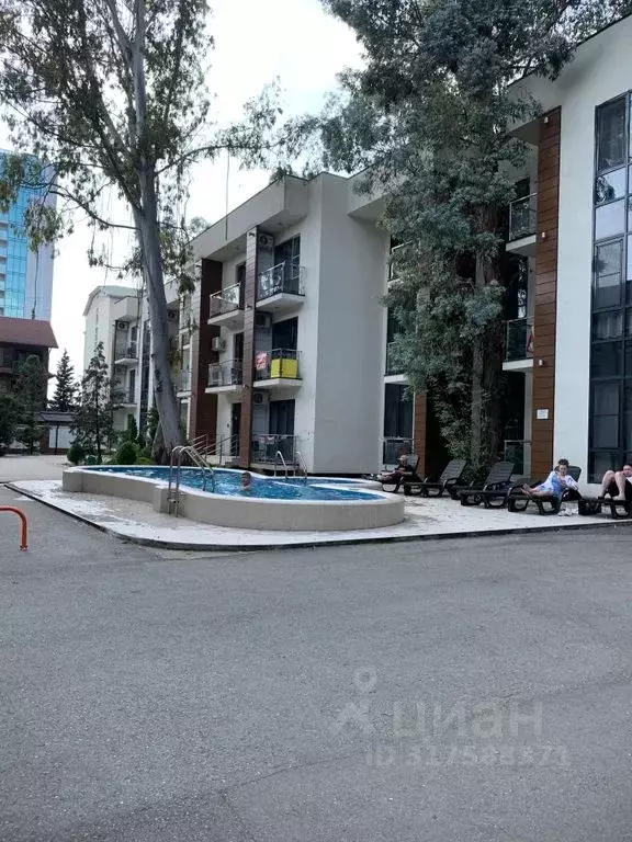 Студия Краснодарский край, Сочи ул. Ленина, 219А/1к3 (25.0 м) - Фото 1