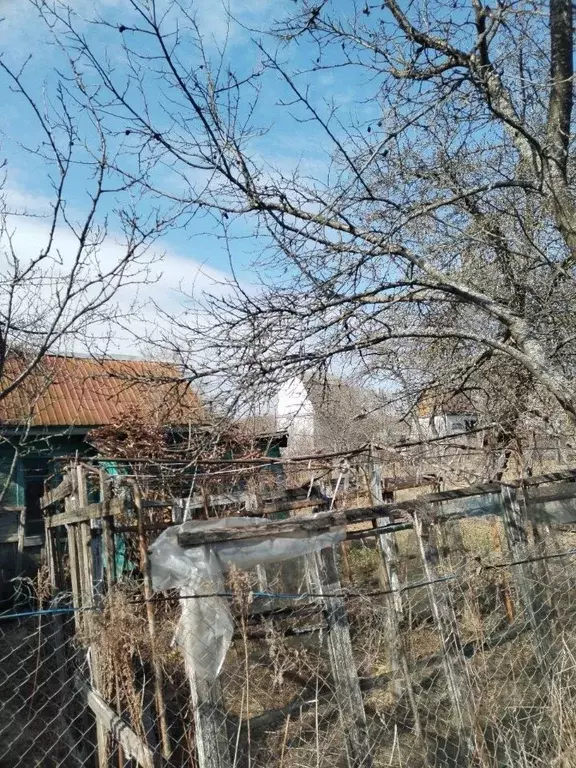 Дом в Брянская область, Брянский район, Супоневское с/пос, Рассвет СДТ ... - Фото 2