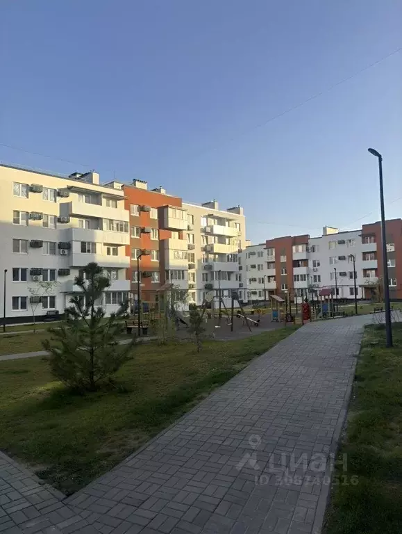 2-к кв. Волгоградская область, Волгоград ул. Добрушина, 55 (54.0 м) - Фото 1