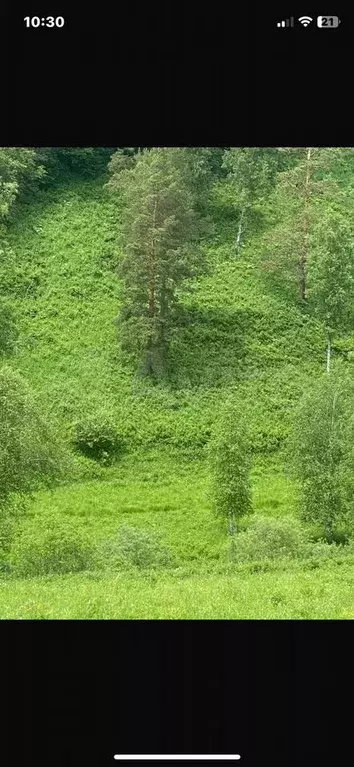 Участок 10,2 сот. (СНТ, ДНП) - Фото 1