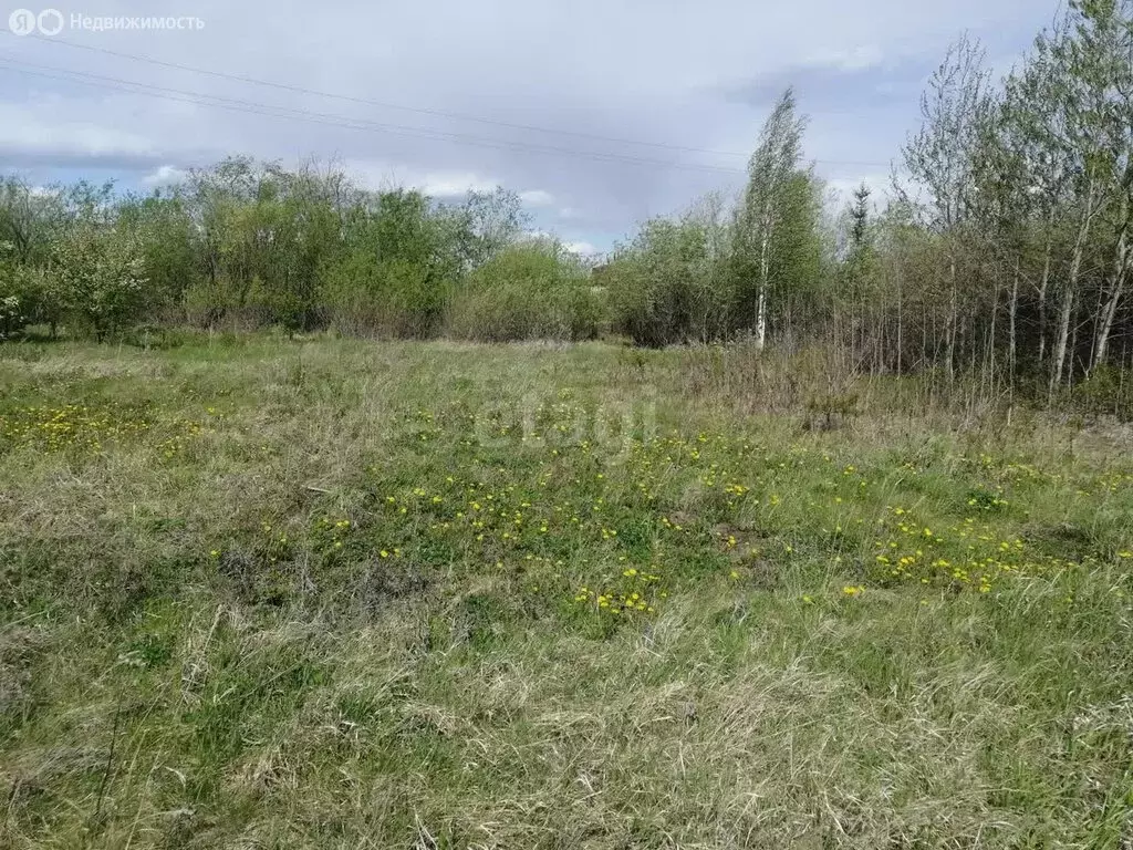 Участок в Свердловская область, Ирбитское муниципальное образование, ... - Фото 1
