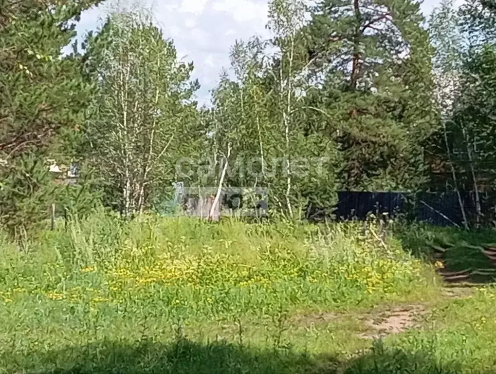 Участок в Забайкальский край, Читинский район, Радость ТСН  (15.0 ... - Фото 2