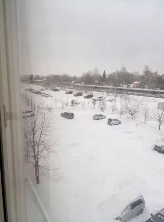 Студия Новосибирская область, Новосибирск ул. В. Высоцкого, 52/3 (36.0 ... - Фото 1