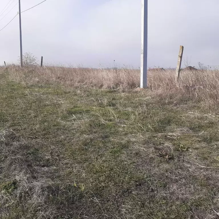 Участок в Краснодарский край, Анапа муниципальный округ, пос. ... - Фото 2